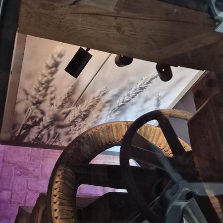 Die Muehle Appartements ザムテンス エクステリア 写真